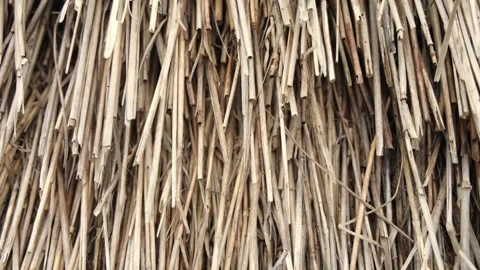 Natural straw texture showcases layered strands of dried grass, emphasizing the Stock-Footage 325812313