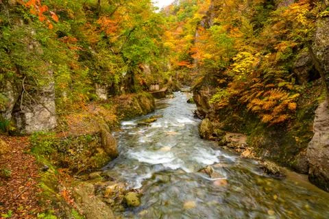 Natural stream flow passing the rock cliff Foto stock