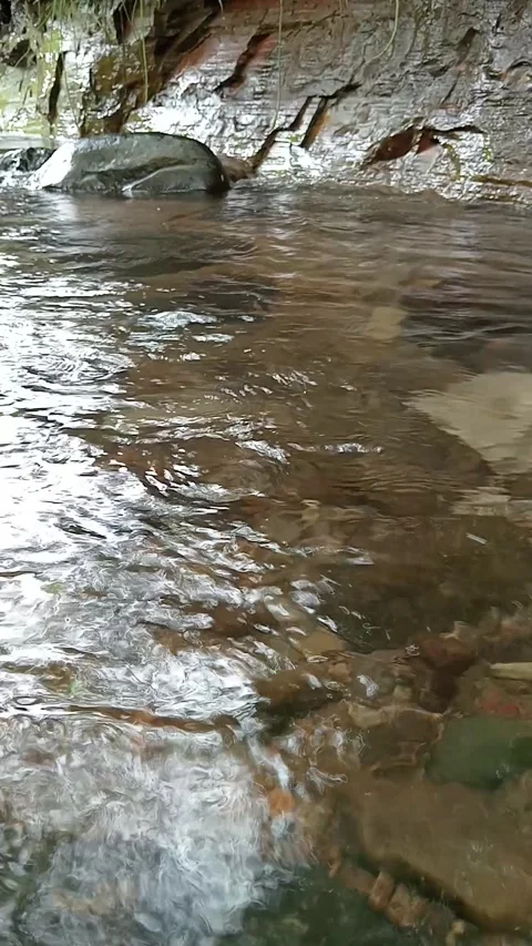 Natural Stream Flow with Visible Riverbed and Stones Stock Footage 330335763