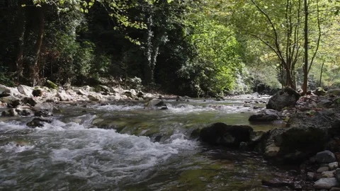 NATURAL STREAM FLOWING FAST IN TREES Video stock 110776712