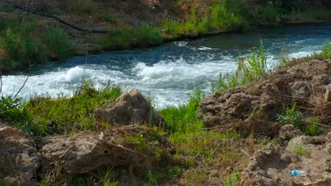 Natural stream flowing through green vegetation and rocks Stock Footage 308231593