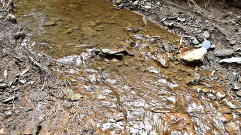 Natural stream flows Stock Footage 76377248