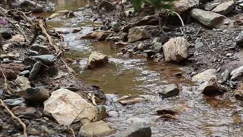 Natural stream flows Stock Footage 76377277
