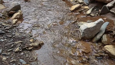 Natural stream flows Stock Footage 76377281
