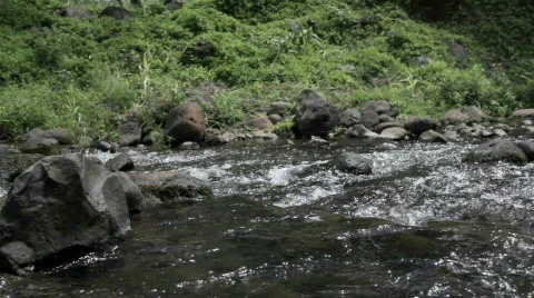 Natural Stream 库存影片 873011