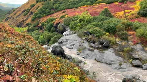 Natural stream with mountain water Stock-Footage 140576769