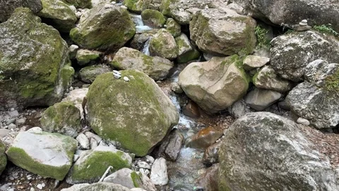 Natural Stream Rippling Through Wild Mossy Rock Valley Stock Footage 330617342