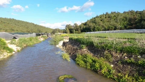 Natural stream river Stock Footage 126946712