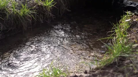 Natural stream runs through field Stock Footage 175396294