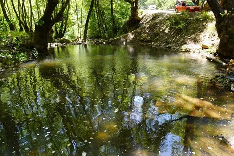 Natural Stream Source in the Forest Stock Photos