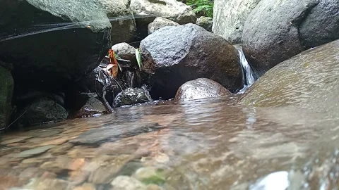 Natural Stream Water Flowing Around Stones in Forest Environment Stock Footage 330530097