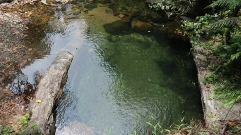 Natural stream water flowing into a pool Stock Footage 340641436