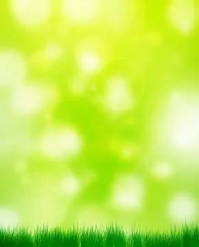 Natural summer background Stock Illustration