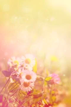 Natural summer background Stock Illustration