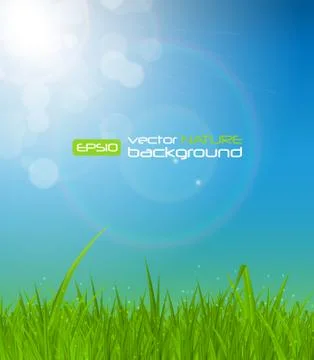 Natural Sunny Background Vector Illustration Stockillustratie