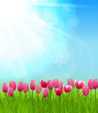 Natural Sunny Background Vector Illustration Stock Illustration