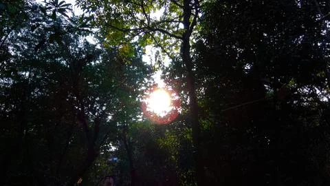 Natural sunrises Stock Photos