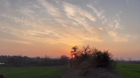 Natural Sunset Landscape with Trees and Open Fields Vídeos de archivo 335587620