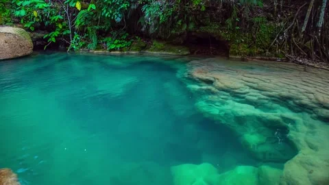 Natural swimming pool Stock Footage 245243679