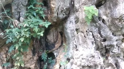 The Natural Texture of Ancient Cave Walls Vidéo 332924978