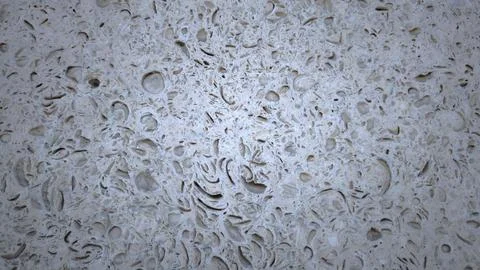 Natural texture of beige shell rock stone wall with porous organic patterns. Stock Photos