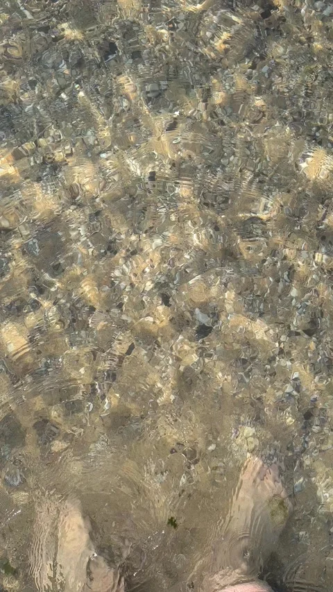Natural texture of clear, sun-lit coastal water ripples over a sandy floor wi Stock Footage 341477763