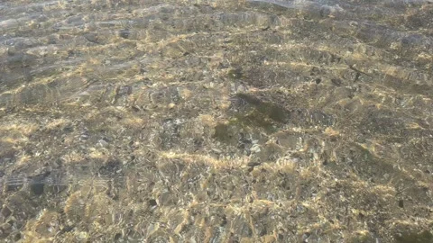 Natural texture of clear, sun-lit coastal water ripples over a sandy floor wi Stock Footage 341477766
