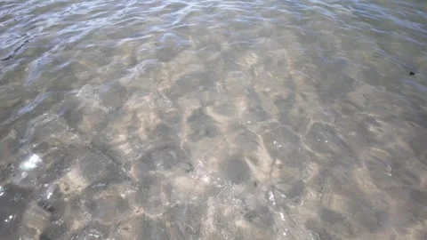 Natural texture of clear, sun-lit coastal water ripples over a sandy floor wi Stock Footage 341477913