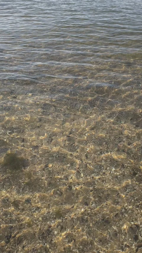 Natural texture of clear, sun-lit coastal water ripples over a sandy floor wi Stock Footage 341478221