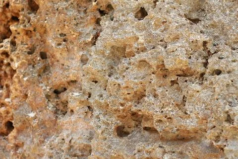 Natural texture of cliffs on the seashore Stock Photos