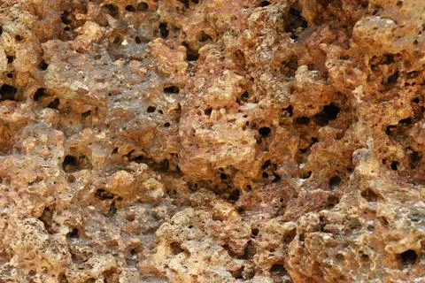 Natural texture of cliffs on the seashore Stock Photos