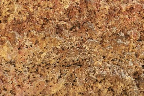 Natural texture of cliffs on the seashore. Stock Photos