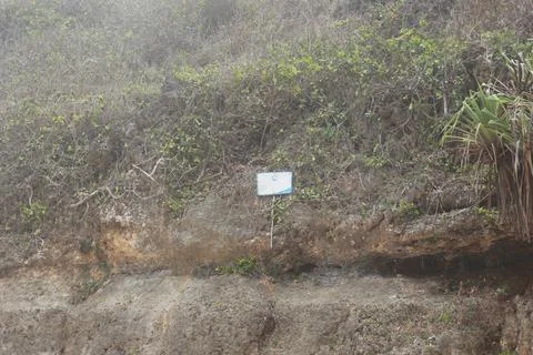 Natural texture of cliffs on the seashore. 写真素材