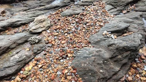 Natural Texture of Coastal Rocks and Colorful Pebbles 動画素材 346737964