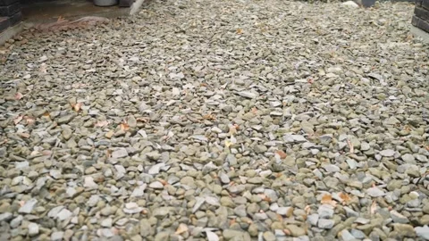 Natural texture of crushed gray stone and gravel with dry brown Stock Footage 346104255