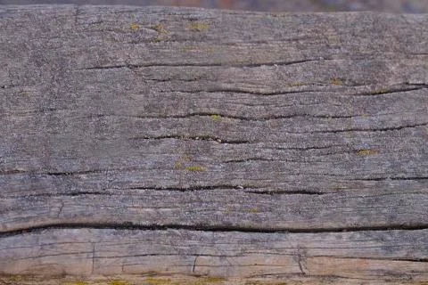 Natural texture of old timber, old wood. Close-up Stock Photos