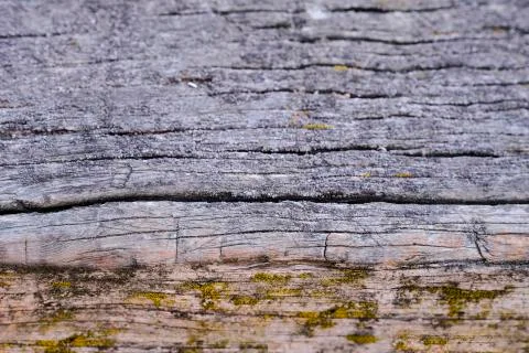Natural texture of old timber, old wood. Close-up Stock Photos