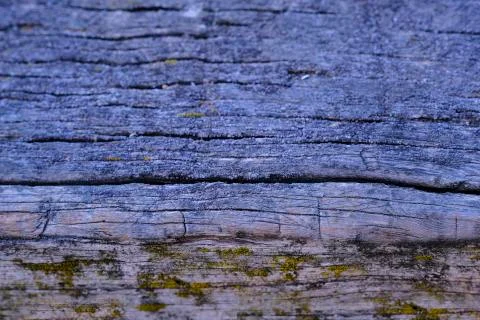 Natural texture of old timber, old wood. Close-up Stock Photos