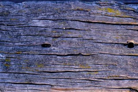 Natural texture of old timber, old wood. Close-up Stock Photos
