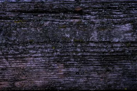 Natural texture of old timber, old wood. Close-up Stock Photos