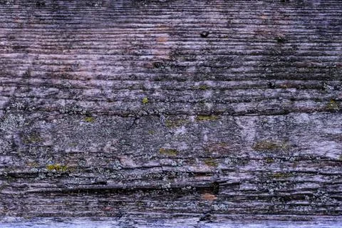 Natural texture of old timber, old wood. Close-up Stock Photos