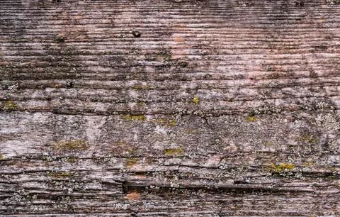 Natural texture of old timber, old wood. Close-up Stock Photos
