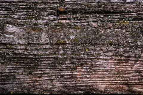 Natural texture of old timber, old wood. Close-up Stock Photos