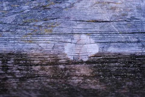 Natural texture of old timber, old wood. Close-up Stock Photos