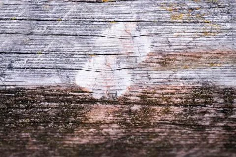Natural texture of old timber, old wood. Close-up Stock Photos