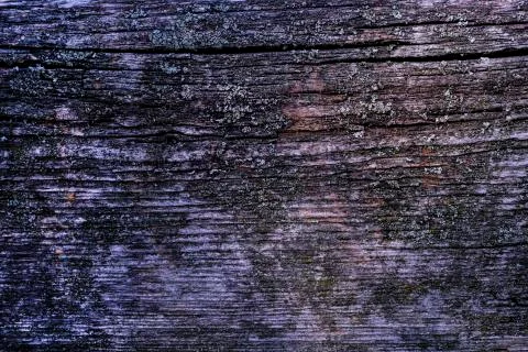 Natural texture of old timber, old wood. Close-up Stock Photos
