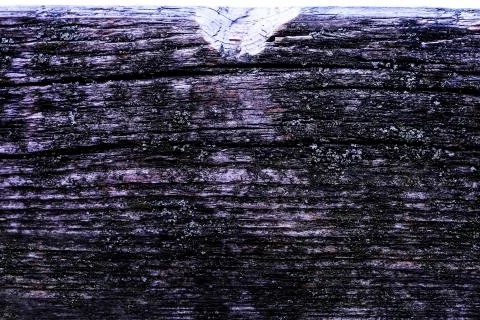 Natural texture of old timber, old wood. Close-up Stock Photos