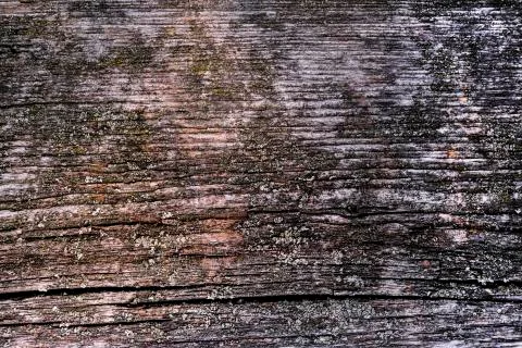 Natural texture of old timber, old wood. Close-up Stock Photos