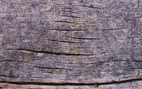 Natural texture of old timber, old wood. Close-up Stock Photos