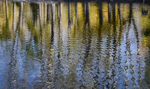 Natural texture Stock Photos